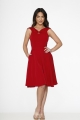 22032 Red Swing Dress